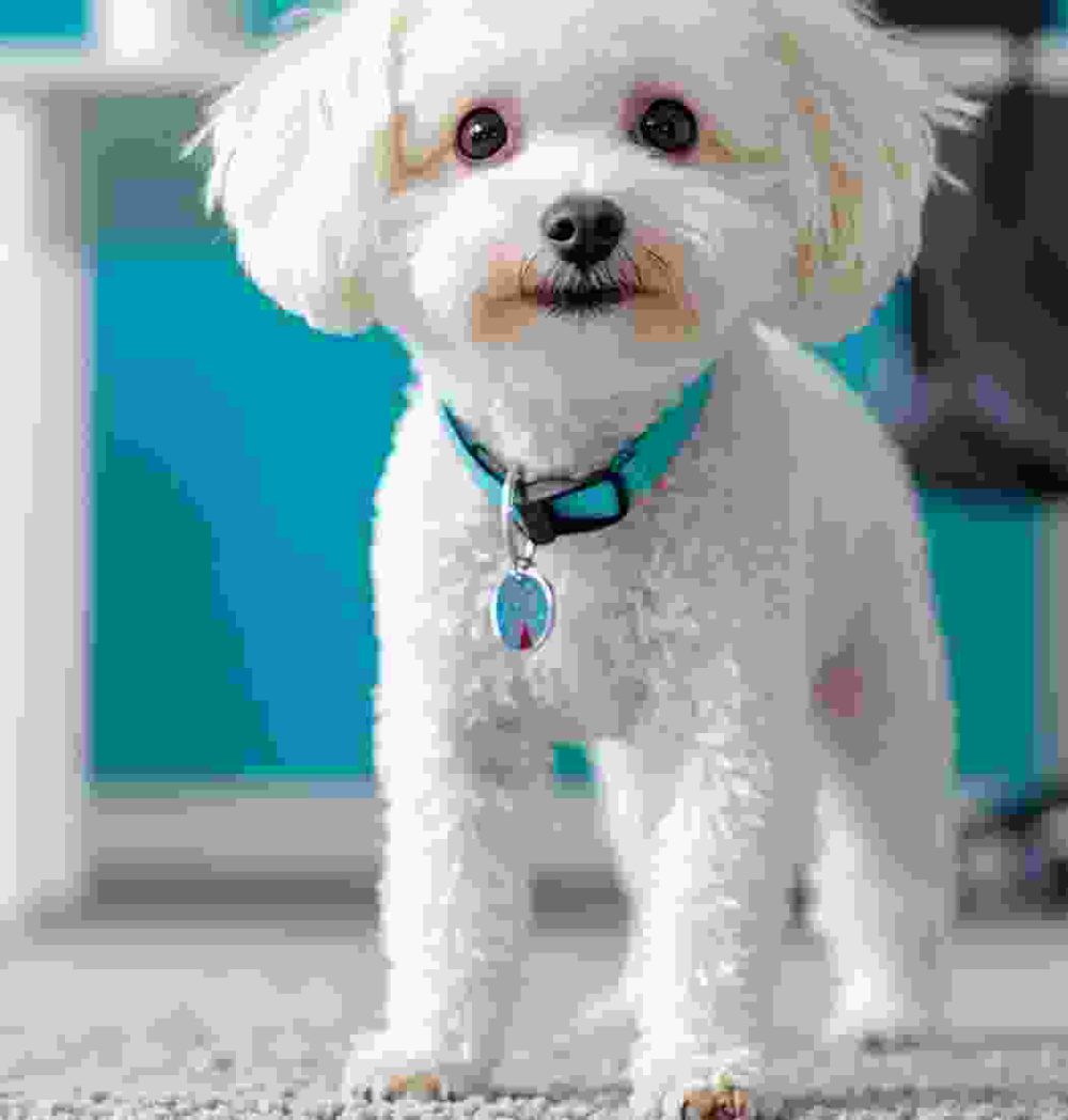 Shop Secondary Image