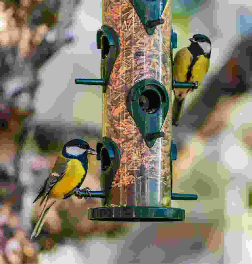 Shop Secondary Image