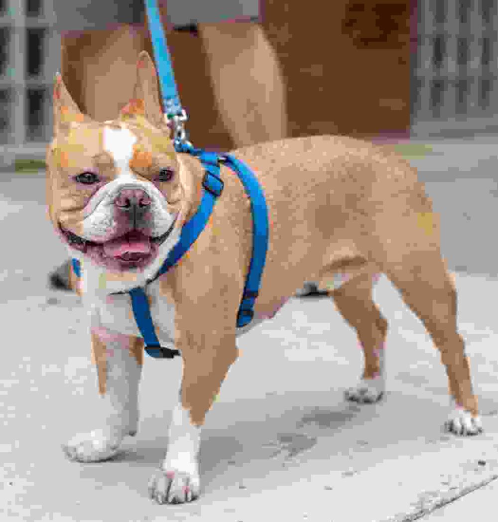 Shop Secondary Image